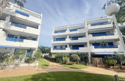 Apartamento / Piso - Reventa - Playa Flamenca - Playa Flamenca