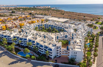 Apartamento / Piso - Reventa - Playa Flamenca - Playa Flamenca