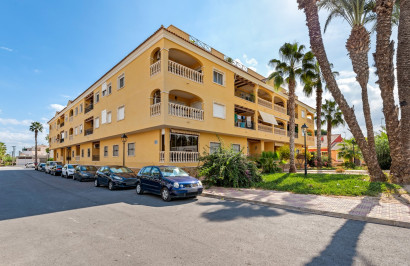 Apartment / Flat - Resale - Jacarilla - LW-83829