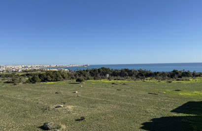 Appartement - Revente - Punta Prima - Punta Prima