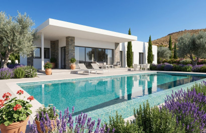 Detached Villa - New Build - Pinoso - Casas Pastor