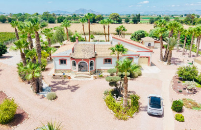 Detached Villa - Resale - Daya Vieja - Daya Vieja