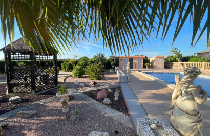 Finca / Country Property - Resale - Crevillente - Crevillente