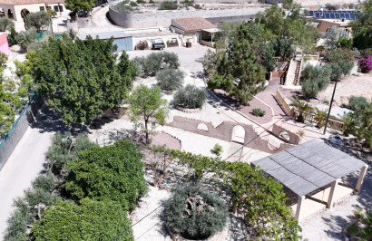 Finca / Country Property - Resale - Crevillente - Crevillente