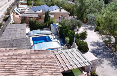 Finca / Country Property - Resale - Crevillente - SS-31951