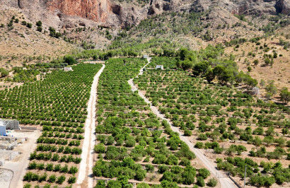 Finca / Country Property - Resale - Orihuela - Orihuela