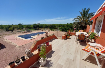 Finca / Country Property - Resale - San Miguel de Salinas - San Miguel de Salinas