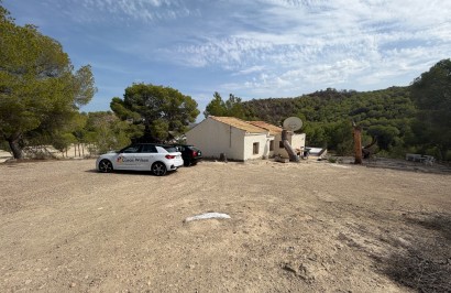 Finca / Country Property - Resale - Torremendo - Torremendo