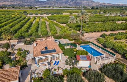 Finca / Propiedad de Campo - Reventa - Albatera - Albatera