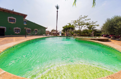 Finca / Propiedad de Campo - Reventa - Almoradí - Almoradi