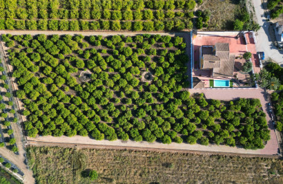 Finca / Propiedad de Campo - Reventa - Orihuela - Orihuela
