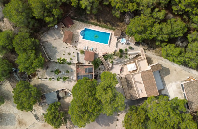 Finca / Propiedad de Campo - Reventa - Torremendo - Torremendo