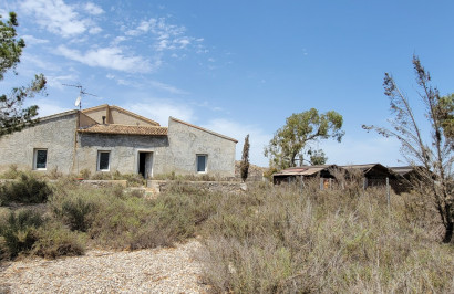 Finca / Propiedad de Campo - Reventa - Torremendo - Torremendo