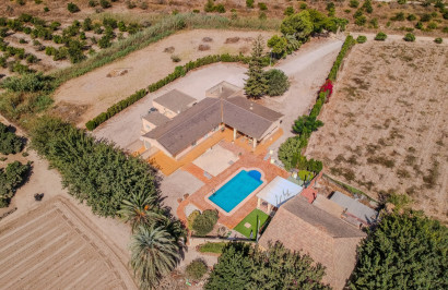 Finca / Propriété de campagne - Revente - Almoradí - Almoradí