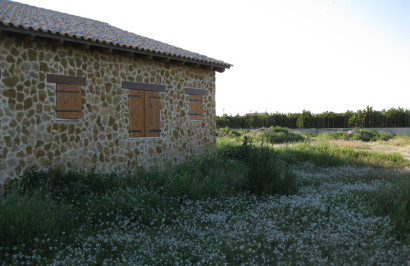 Finca / Propriété de campagne - Revente - Benferri - SS-70039