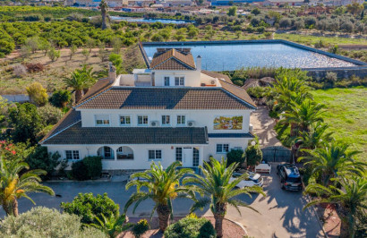 Finca / Propriété de campagne - Revente - Los Montesinos - Los Montesinos