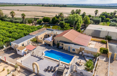 Finca / Propriété de campagne - Revente - Los Montesinos - Los Montesinos