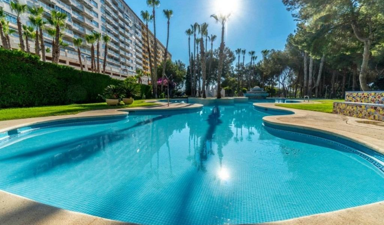 Herverkoop - Appartement / Flat - Dehesa de Campoamor - Altos de campoamor