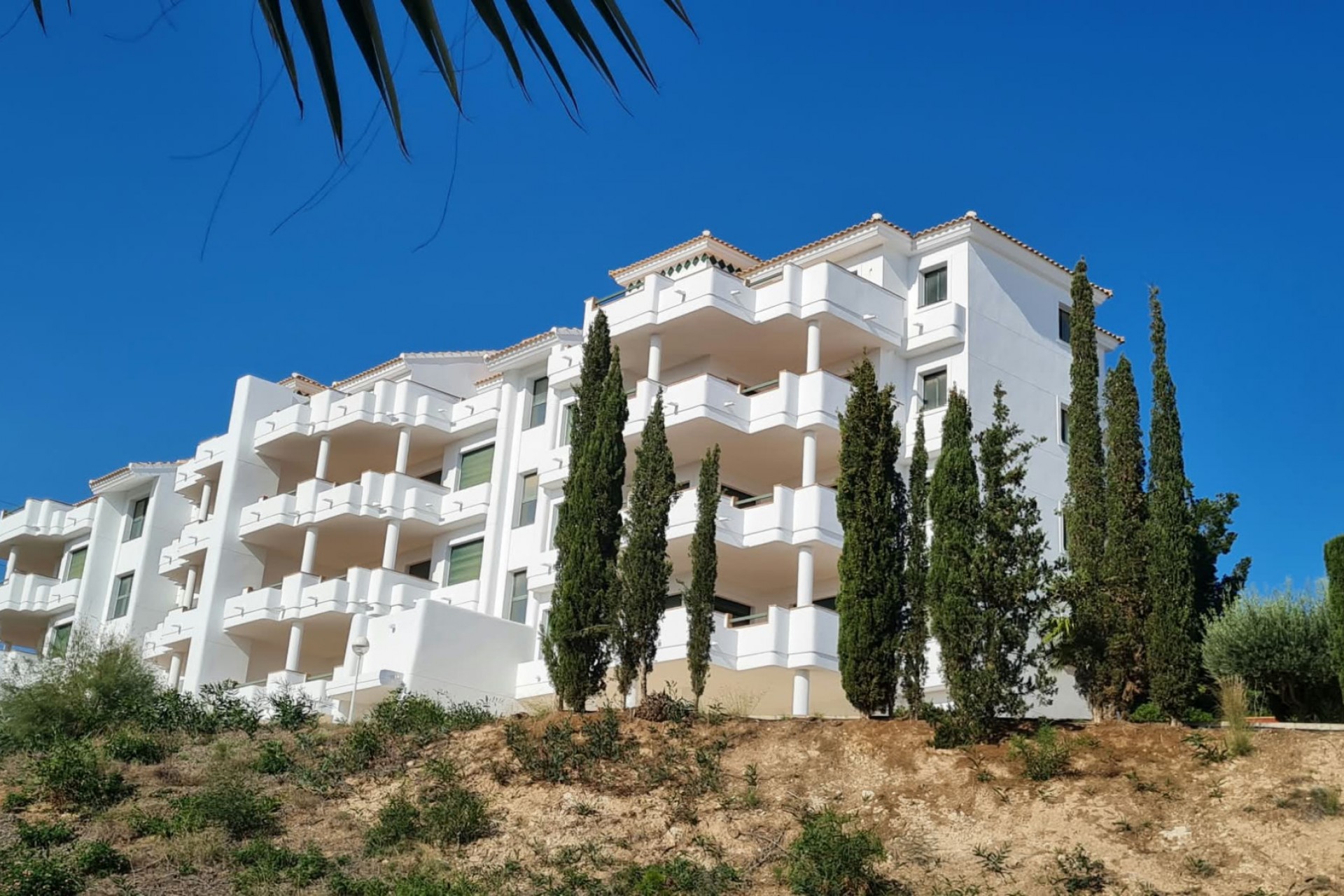 Herverkoop - Appartement / Flat - Dehesa de Campoamor - Campoamor