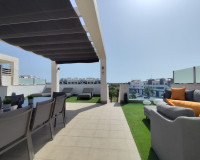 Herverkoop - Appartement / Flat - El Raso