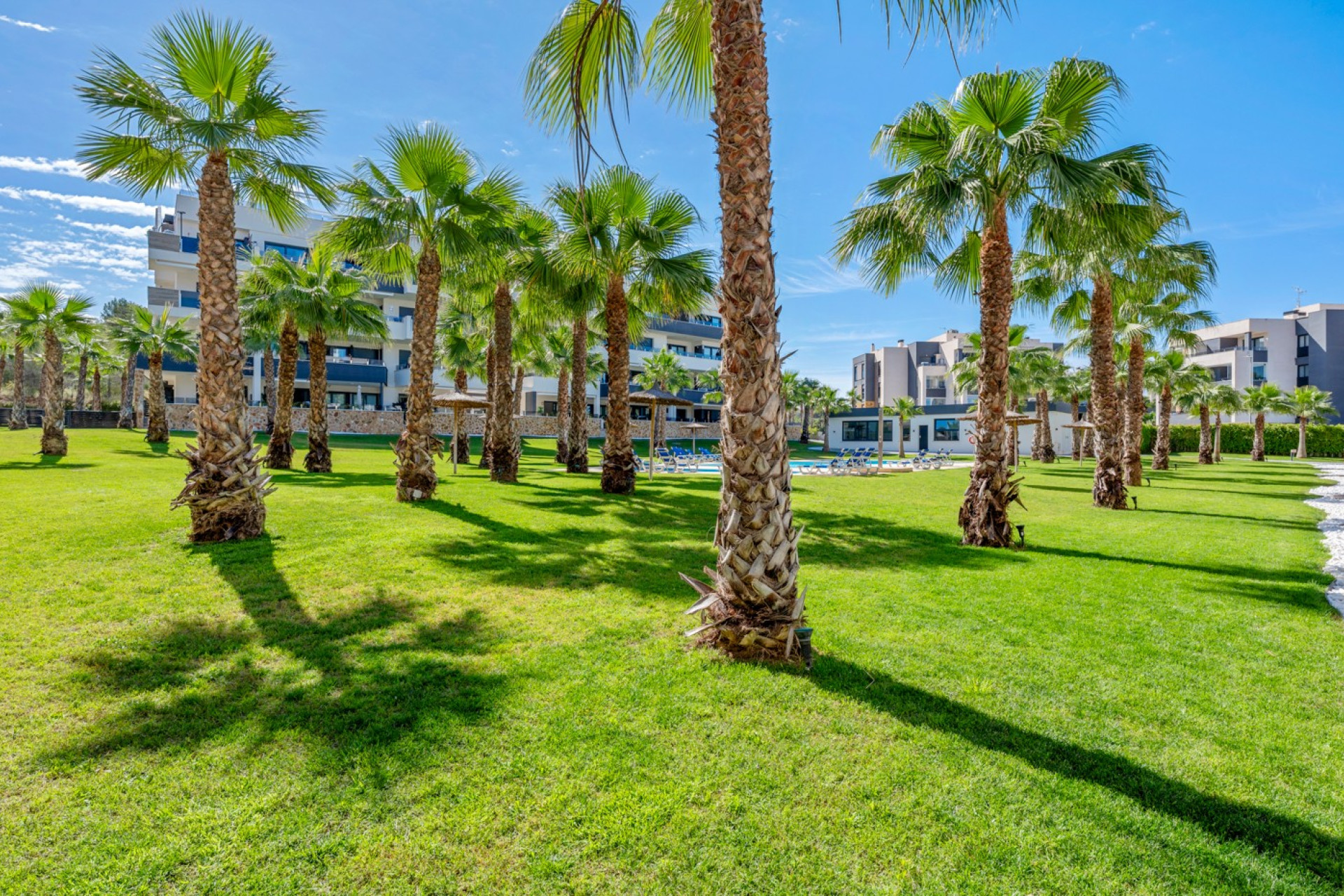 Herverkoop - Appartement / Flat - Orihuela Costa - Los Altos