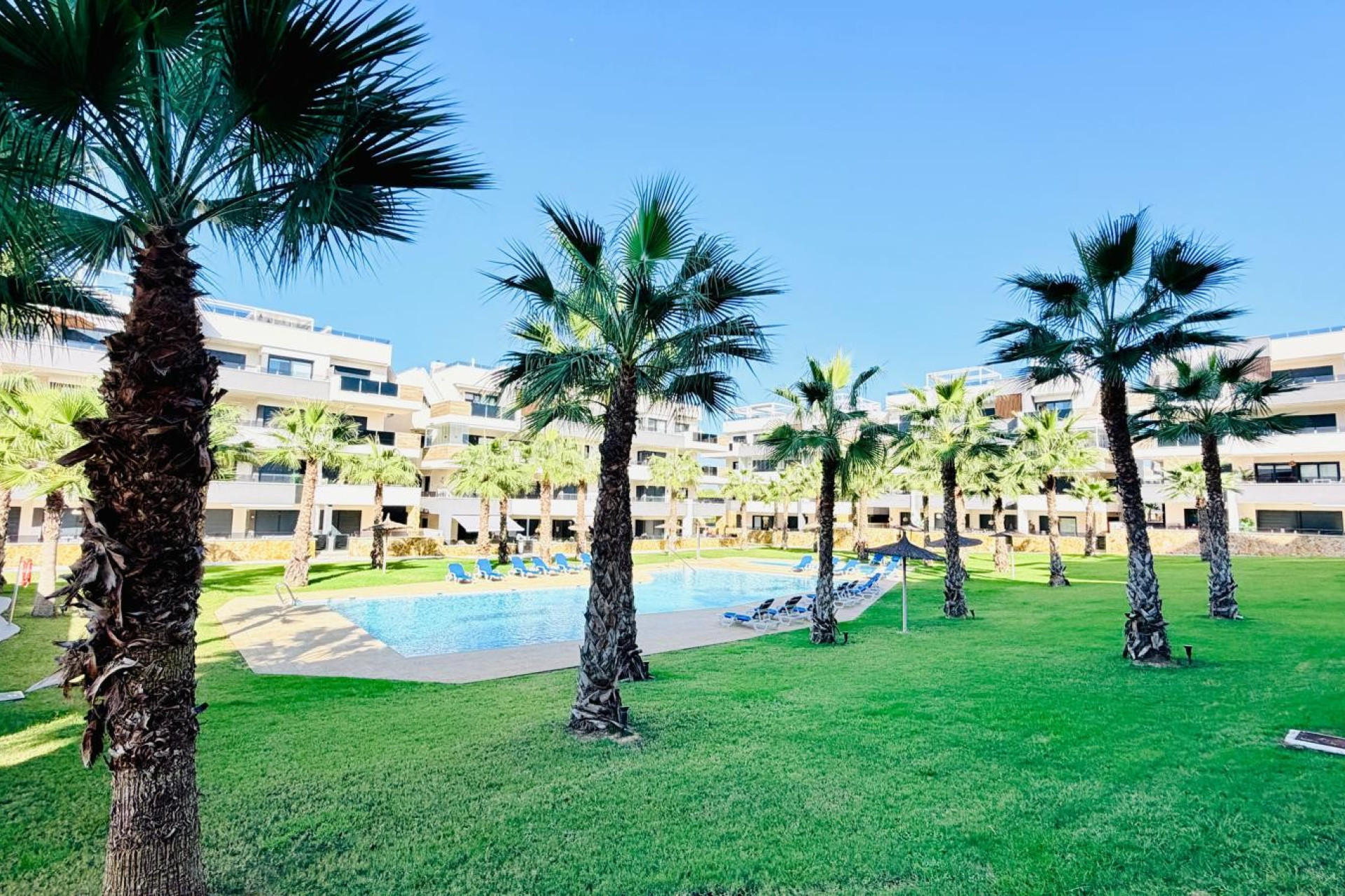 Herverkoop - Appartement / Flat - Orihuela Costa - Los Altos