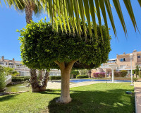 Herverkoop - Appartement / Flat - Orihuela Costa - Playa Flamenca