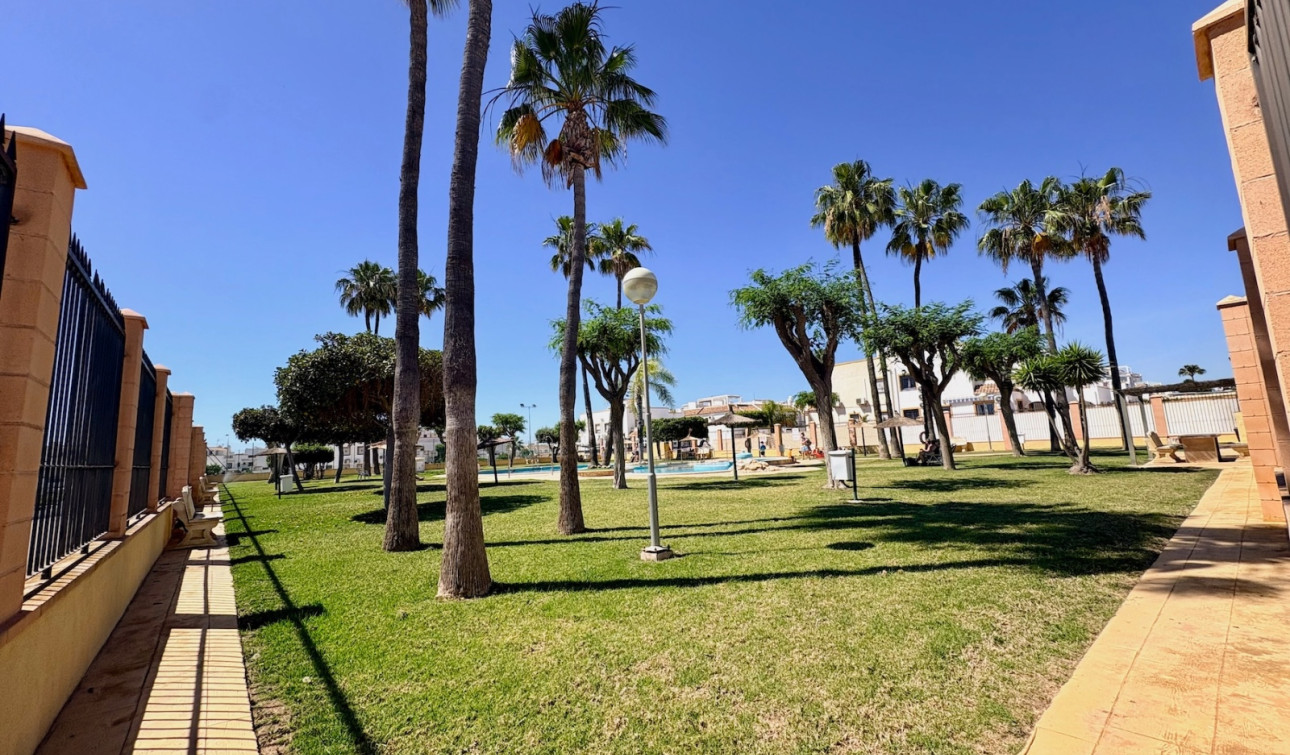 Herverkoop - Appartement / Flat - Orihuela Costa - Playa Flamenca