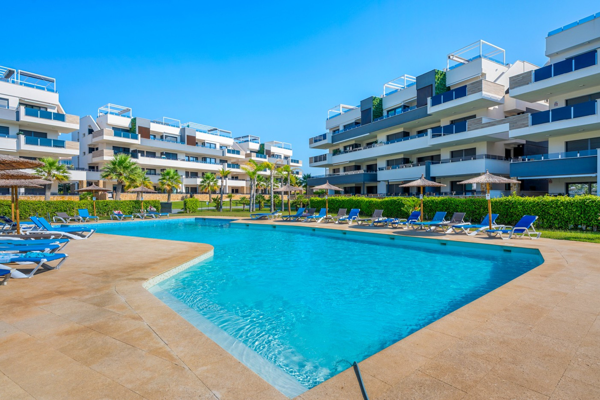 Herverkoop - Appartement / Flat - Orihuela Costa - Playa Flamenca