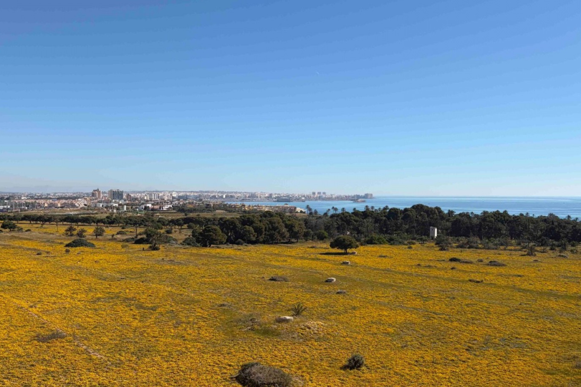 Herverkoop - Appartement / Flat - Orihuela Costa - Punta Prima