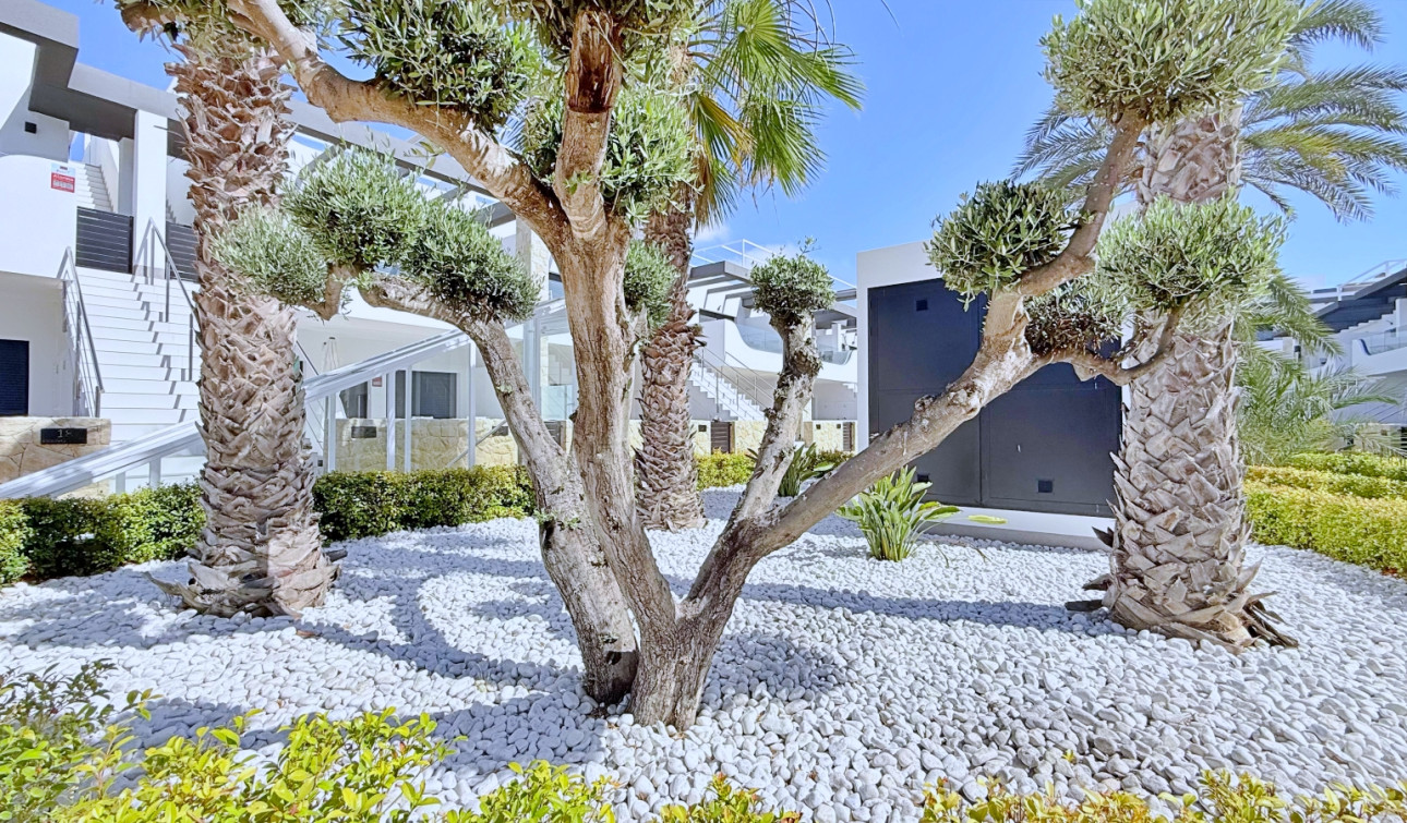 Herverkoop - Appartement / Flat - Orihuela Costa - Punta Prima