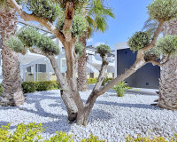 Herverkoop - Appartement / Flat - Orihuela Costa - Punta Prima