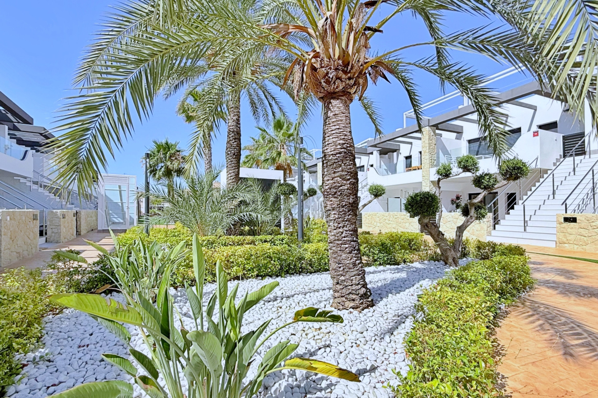 Herverkoop - Appartement / Flat - Orihuela Costa - Punta Prima