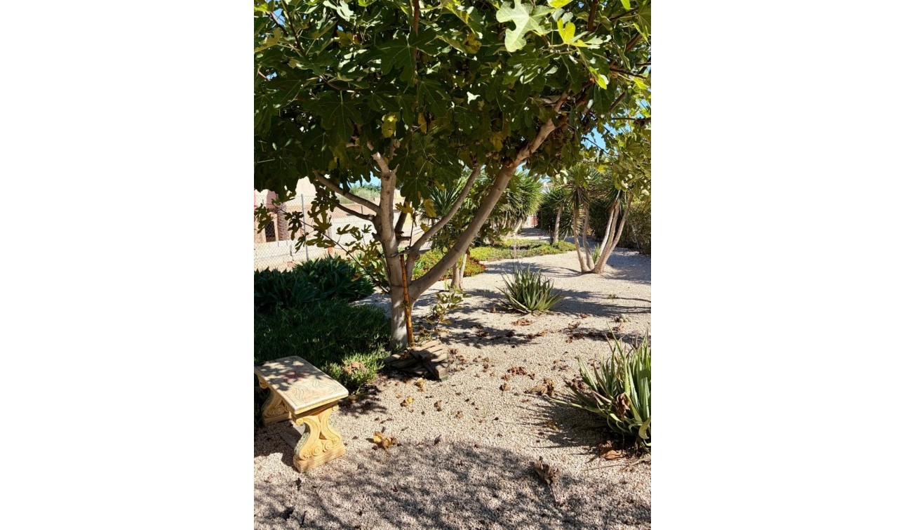 Herverkoop - Appartement / Flat - Orihuela