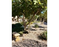 Herverkoop - Appartement / Flat - Orihuela