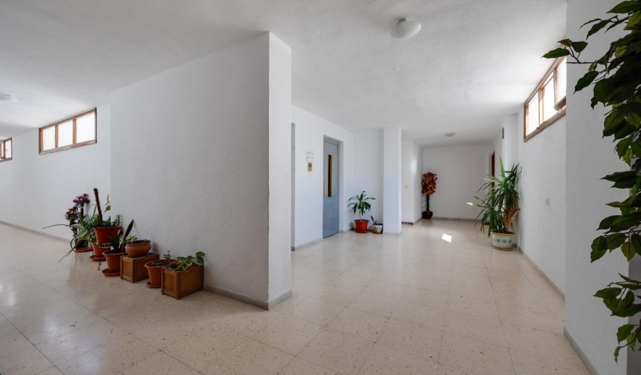Herverkoop - Appartement / Flat - Playa del Acequion