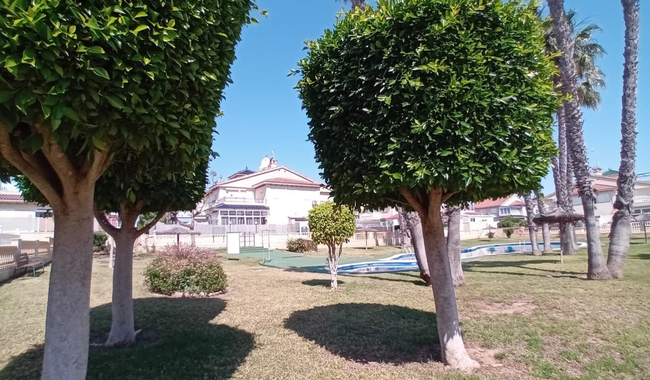 Herverkoop - Appartement / Flat - Playa Flamenca