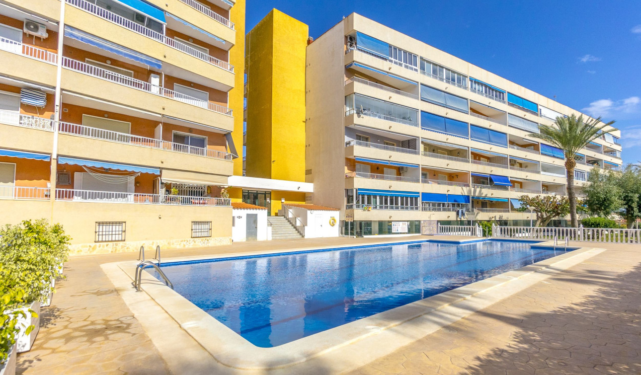 Herverkoop - Appartement / Flat - Punta Prima - El Acequión