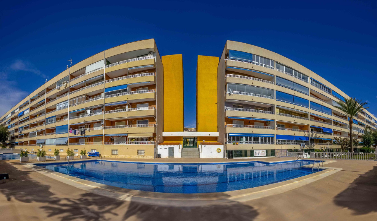 Herverkoop - Appartement / Flat - Punta Prima - El Acequión