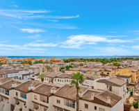 Herverkoop - Appartement / Flat - Punta Prima