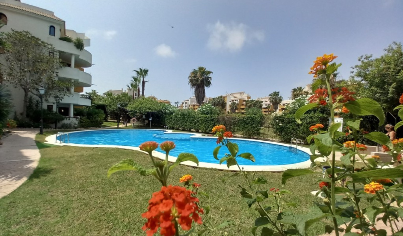 Herverkoop - Appartement / Flat - Punta Prima