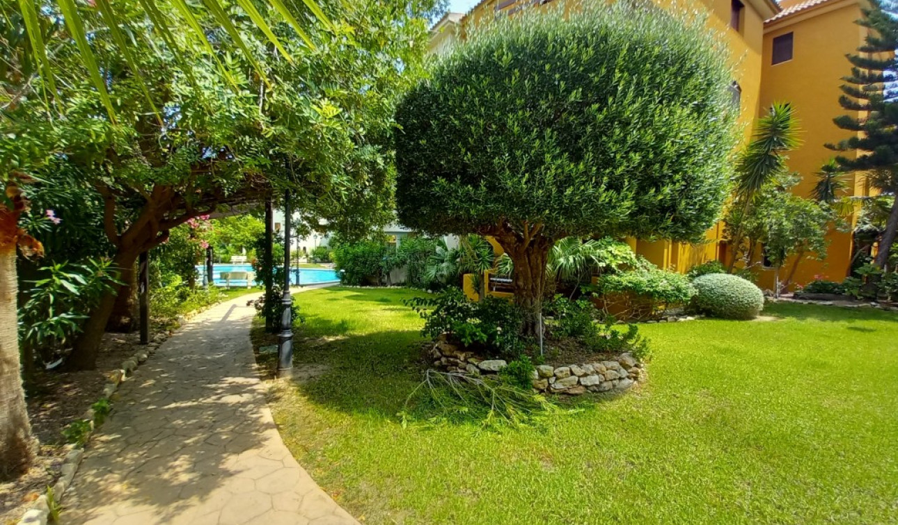 Herverkoop - Appartement / Flat - Punta Prima