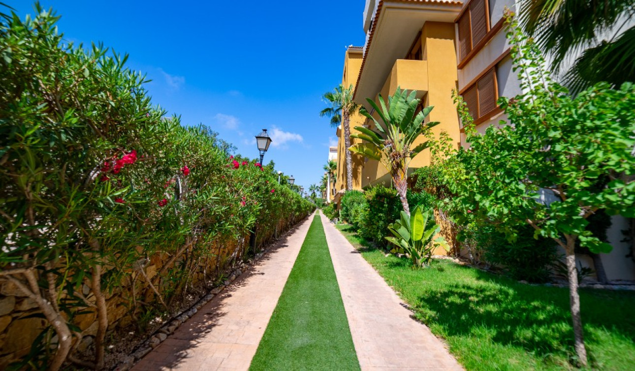 Herverkoop - Appartement / Flat - Punta Prima