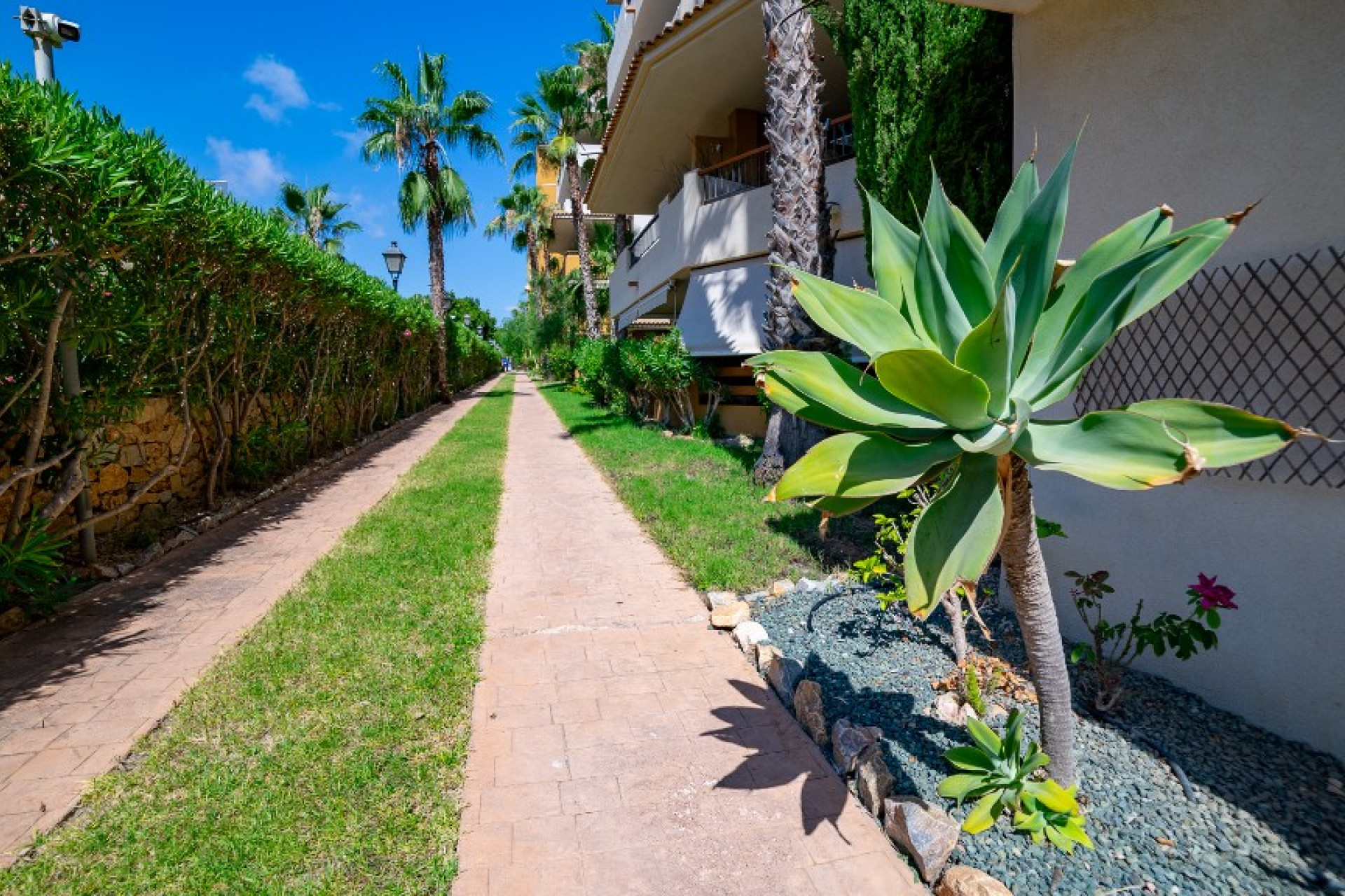 Herverkoop - Appartement / Flat - Punta Prima