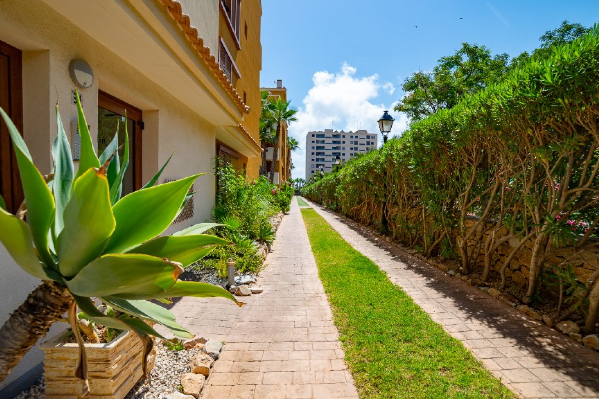 Herverkoop - Appartement / Flat - Punta Prima