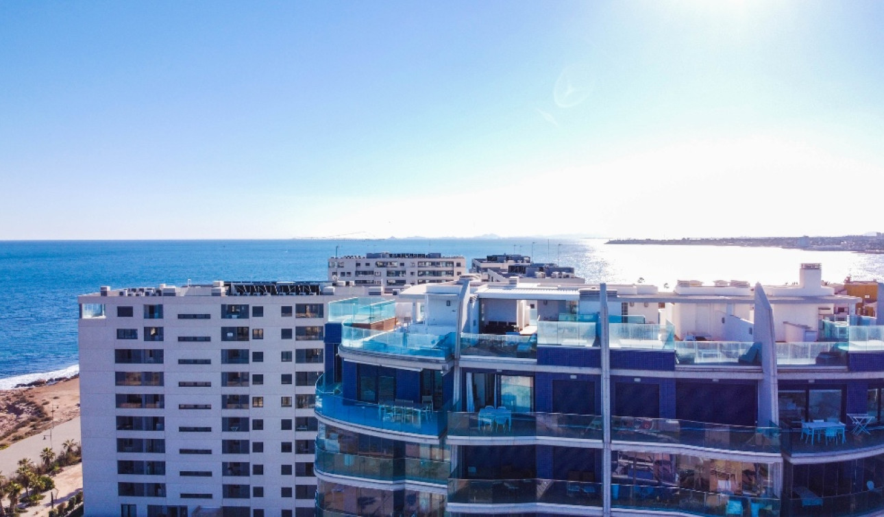 Herverkoop - Appartement / Flat - Punta Prima