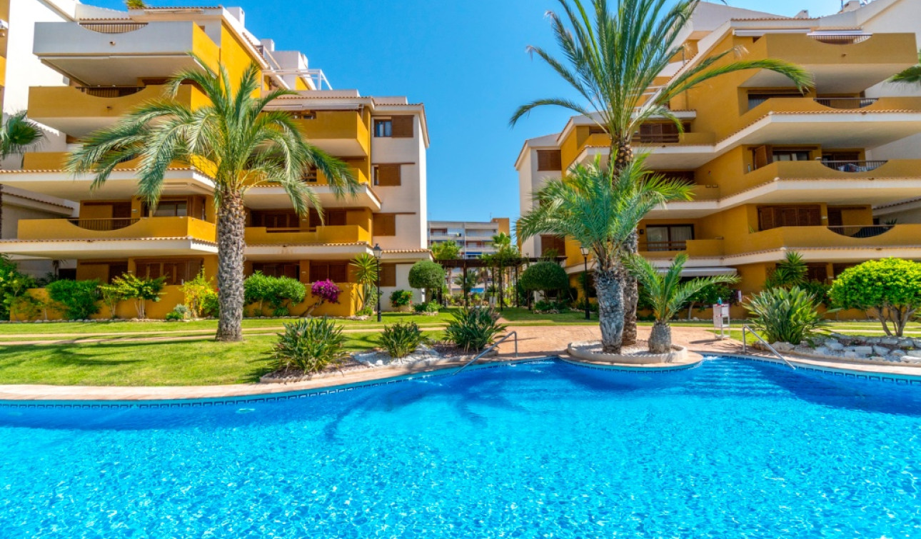 Herverkoop - Appartement / Flat - Punta Prima