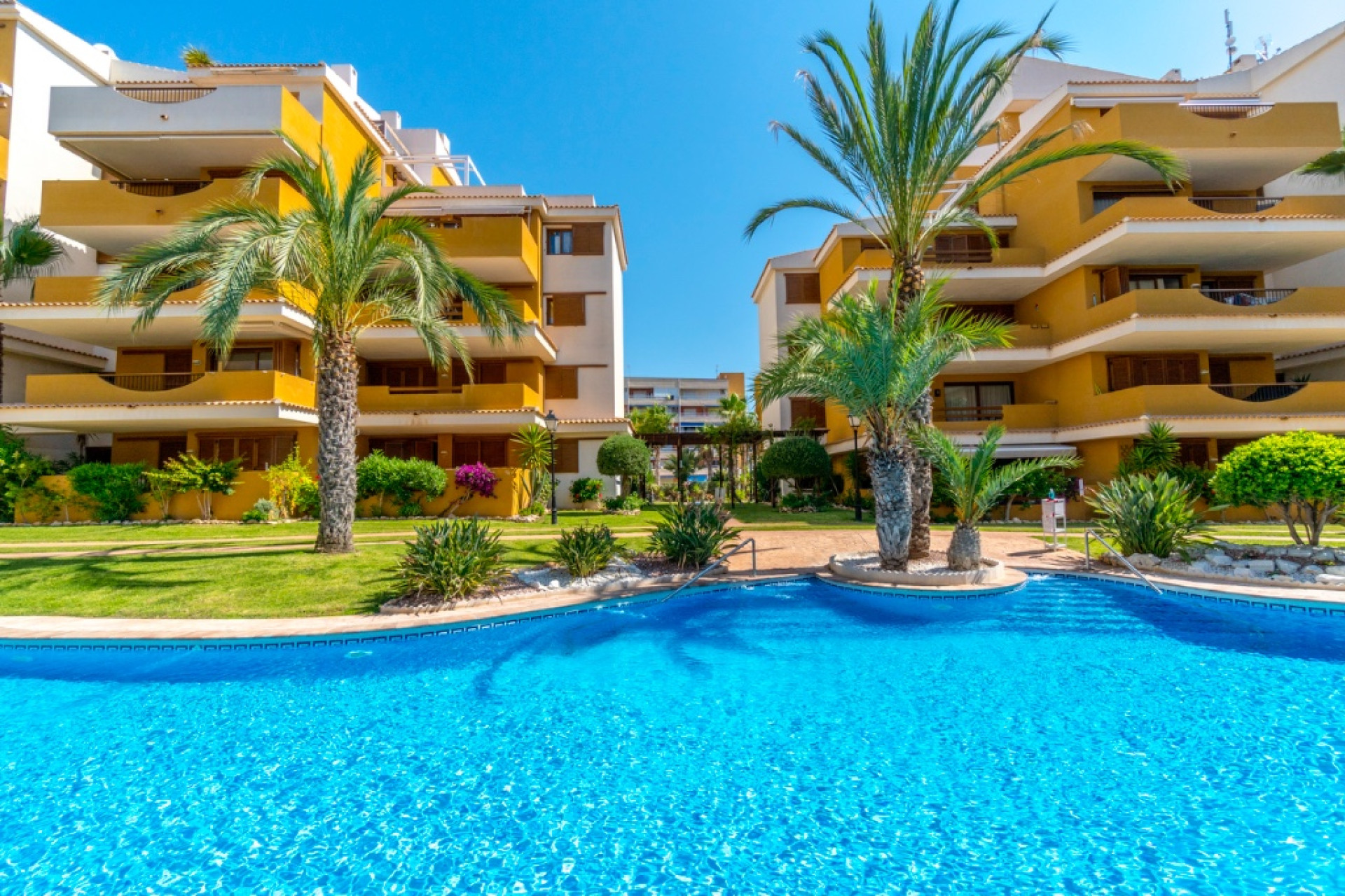 Herverkoop - Appartement / Flat - Punta Prima