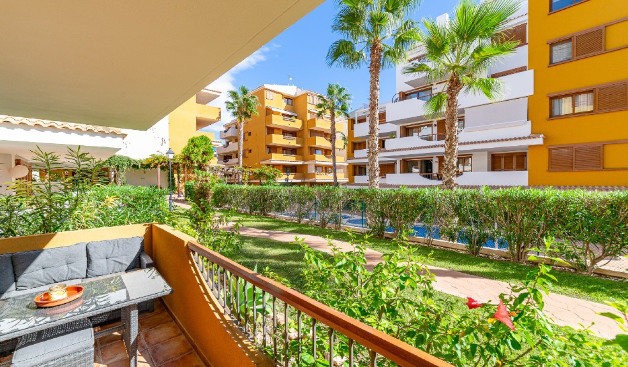 Herverkoop - Appartement / Flat - Punta Prima