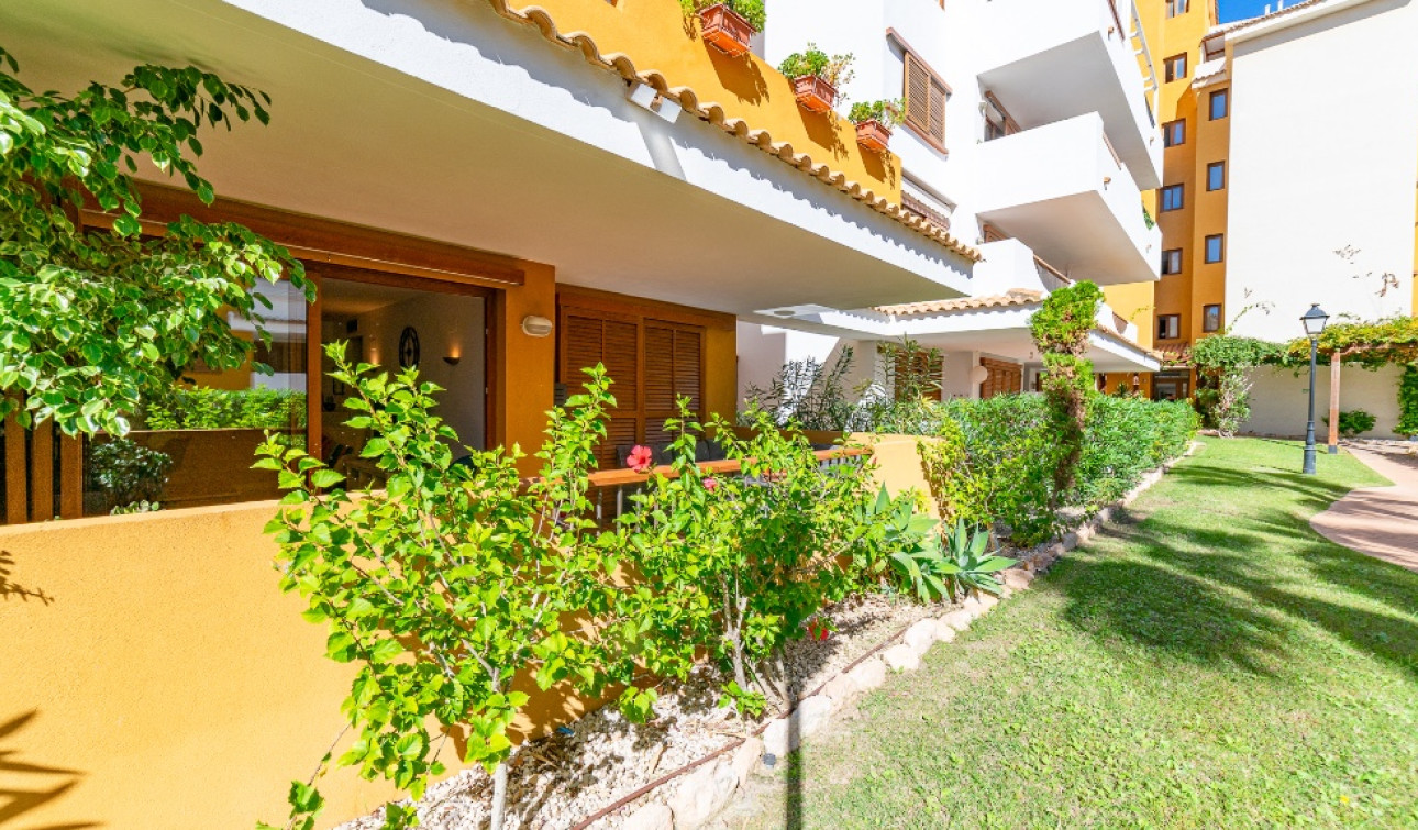 Herverkoop - Appartement / Flat - Punta Prima
